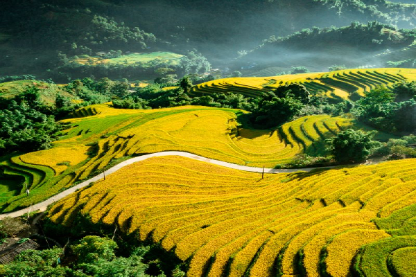 8H7M NORTHERN VIETNAM - photo 19